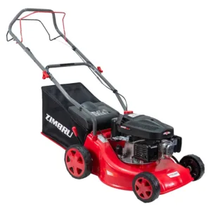 Ruris Zimbru 889S benzină