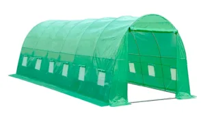 Cortis Profesional cu folie verde