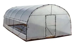 Profesional cu folie transparentă