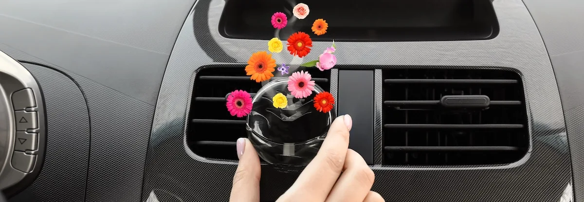 Cele Mai Bune Odorizante Auto