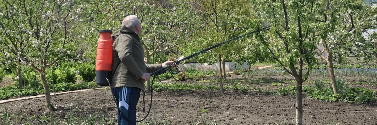 Depositphotos 544324290 L