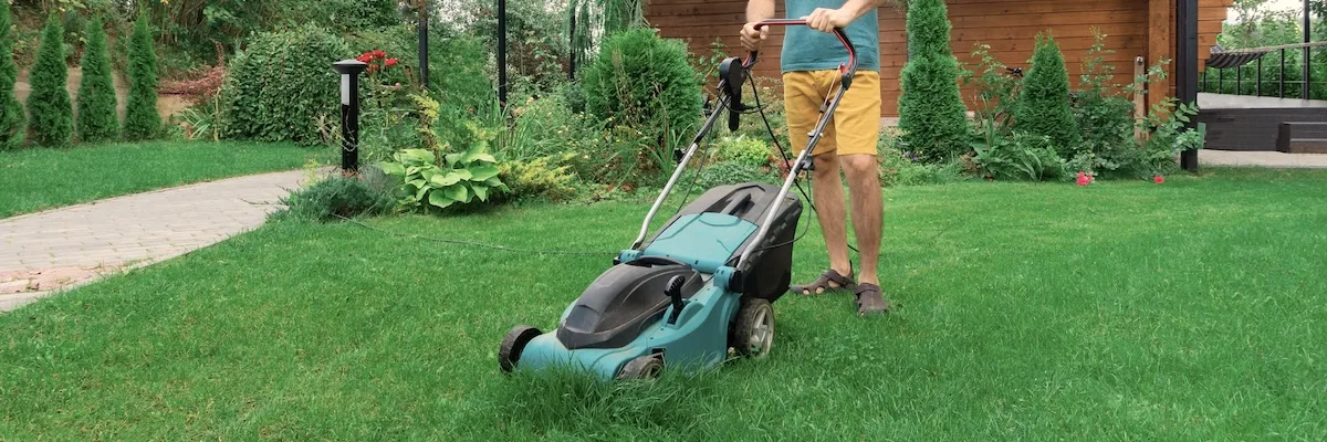 Cele Mai Bune Mașini De Tuns Iarba Electrice