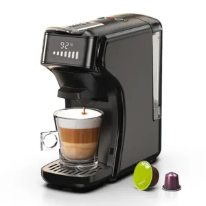 HiBREW H1B