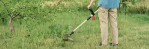 Cele mai bune trimmere pentru iarbă - 2026